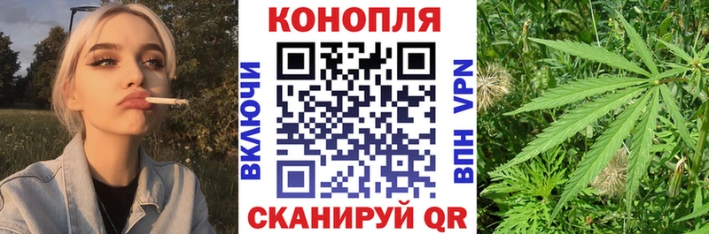 Конопля планчик  закладка  Лиски 